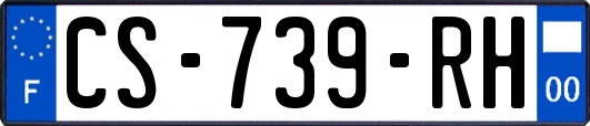 CS-739-RH