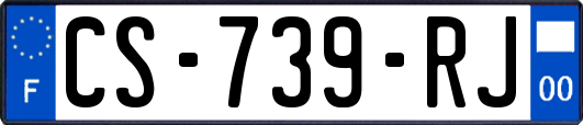 CS-739-RJ