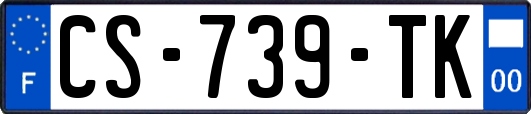CS-739-TK