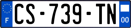 CS-739-TN