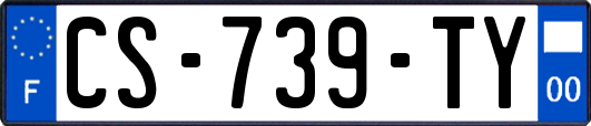 CS-739-TY