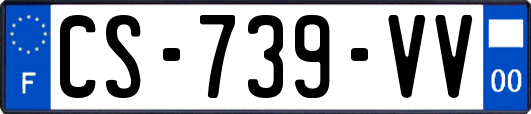 CS-739-VV