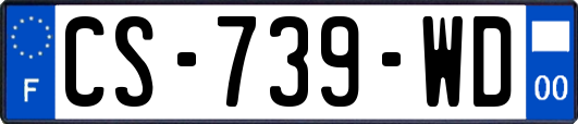 CS-739-WD