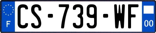 CS-739-WF