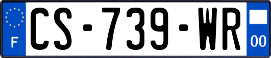 CS-739-WR