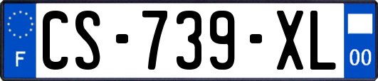 CS-739-XL