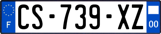 CS-739-XZ