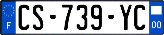 CS-739-YC