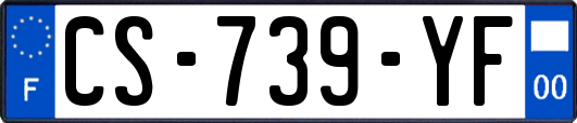 CS-739-YF