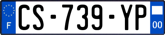 CS-739-YP