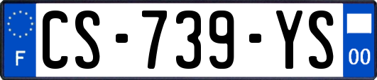 CS-739-YS