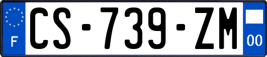 CS-739-ZM