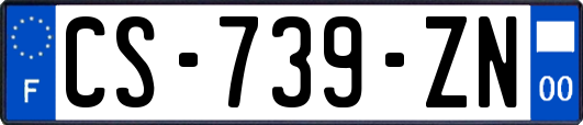 CS-739-ZN