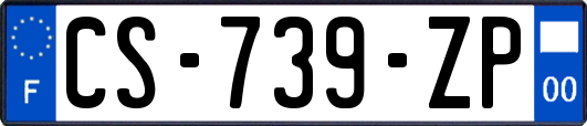 CS-739-ZP