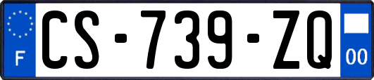 CS-739-ZQ