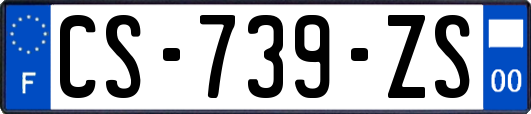 CS-739-ZS