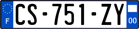 CS-751-ZY