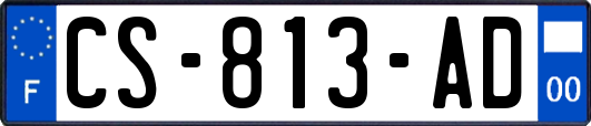 CS-813-AD