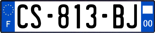 CS-813-BJ