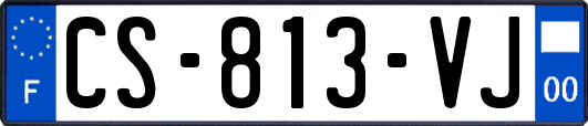 CS-813-VJ