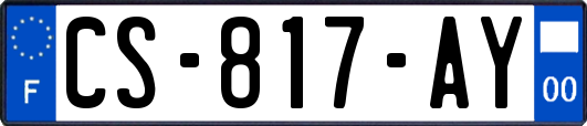 CS-817-AY