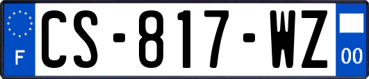 CS-817-WZ