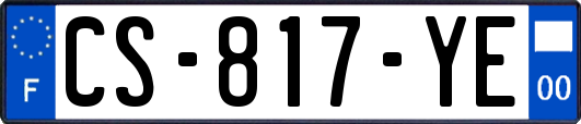 CS-817-YE