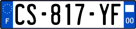 CS-817-YF