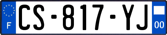 CS-817-YJ