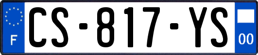 CS-817-YS