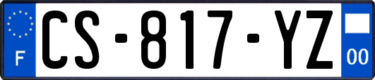 CS-817-YZ