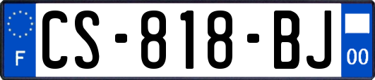 CS-818-BJ