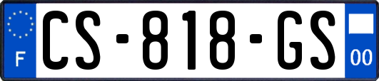 CS-818-GS