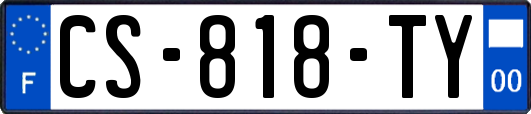 CS-818-TY