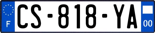 CS-818-YA