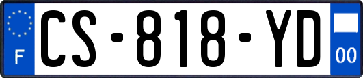 CS-818-YD