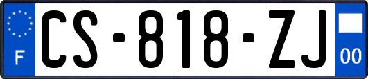 CS-818-ZJ