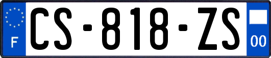 CS-818-ZS