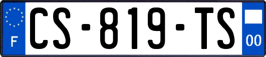 CS-819-TS