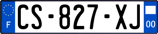 CS-827-XJ