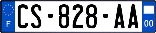 CS-828-AA