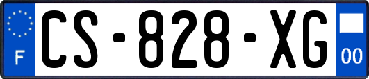 CS-828-XG