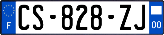 CS-828-ZJ