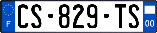 CS-829-TS