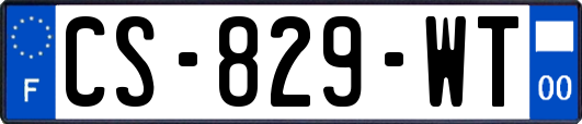 CS-829-WT