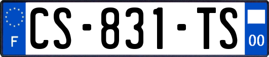 CS-831-TS