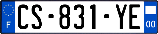 CS-831-YE