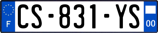 CS-831-YS