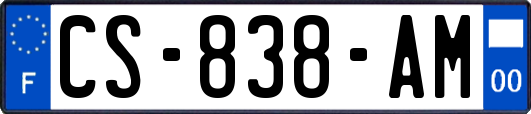 CS-838-AM