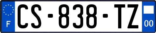 CS-838-TZ